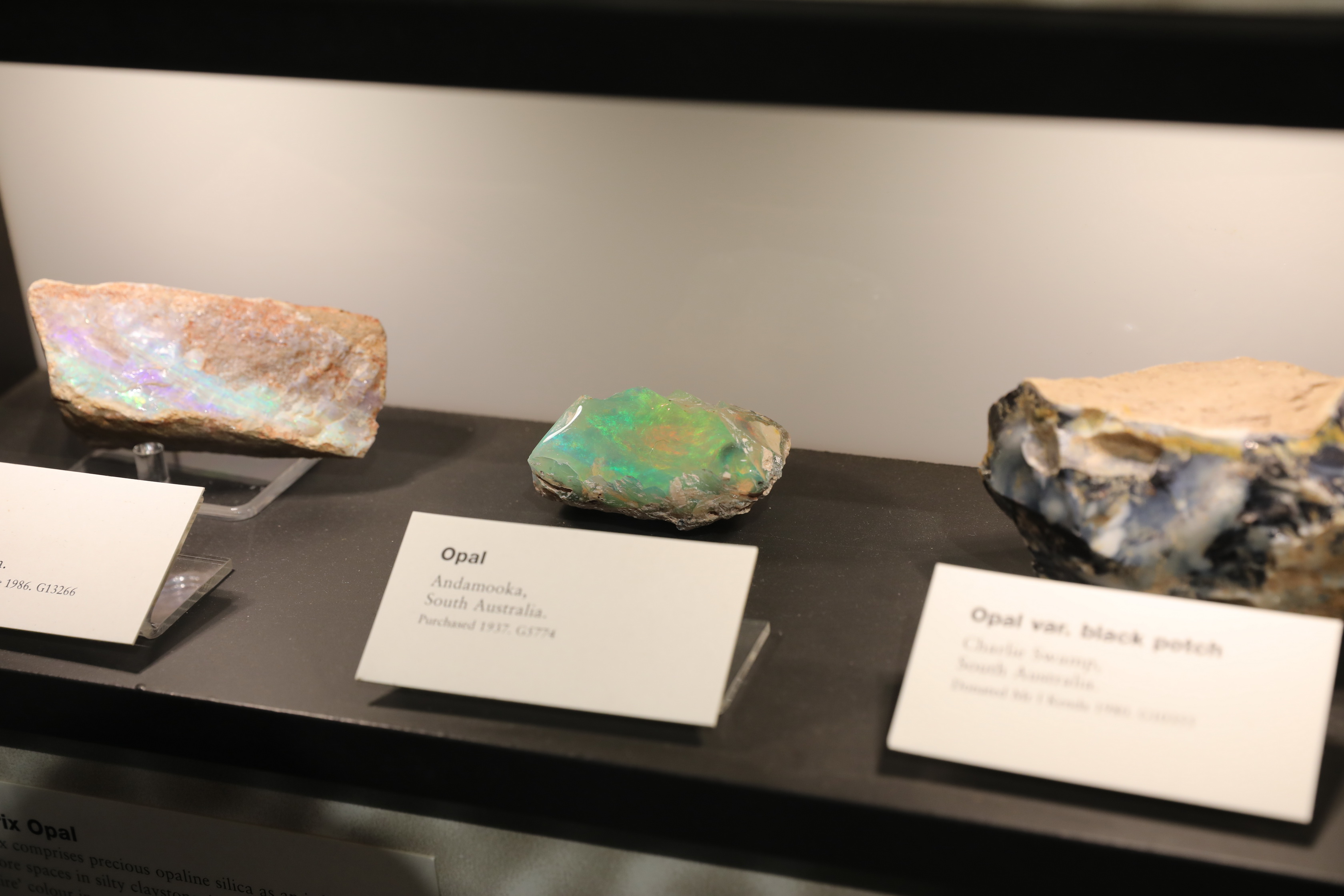 2019 09 22 15 05 33 Canon EOS 5D Mark IV 0009